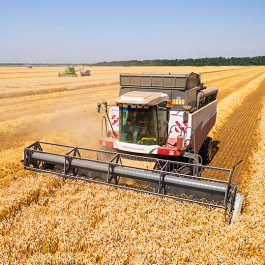 Сельское хозяйство